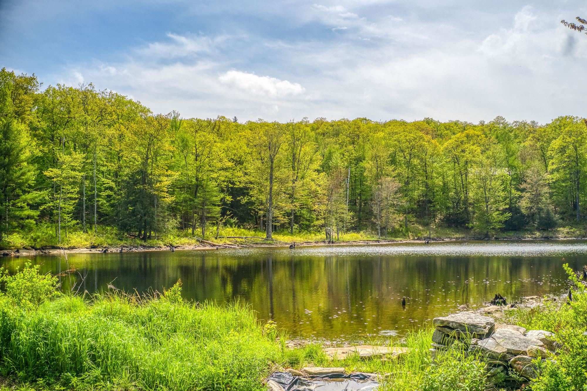 79 Summit Drive New Boston, NH 03070 - Photo 6 of 19