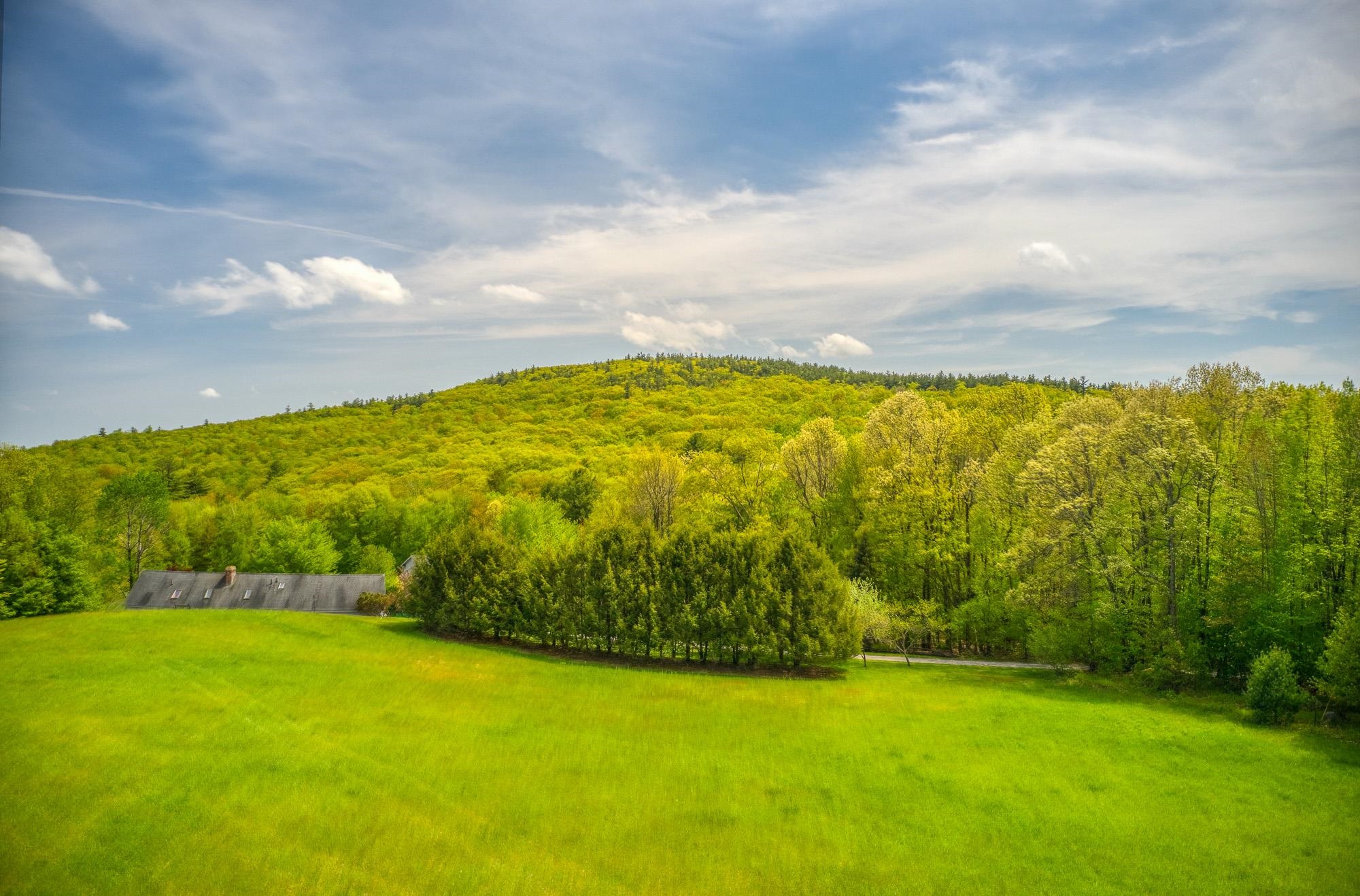 79 Summit Drive New Boston, NH 03070 - Photo 8 of 19