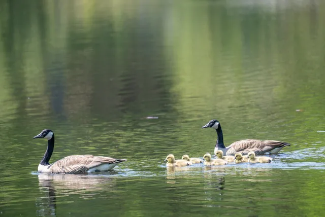 $900,000 | 79 Summit Drive, New Boston, NH 03070