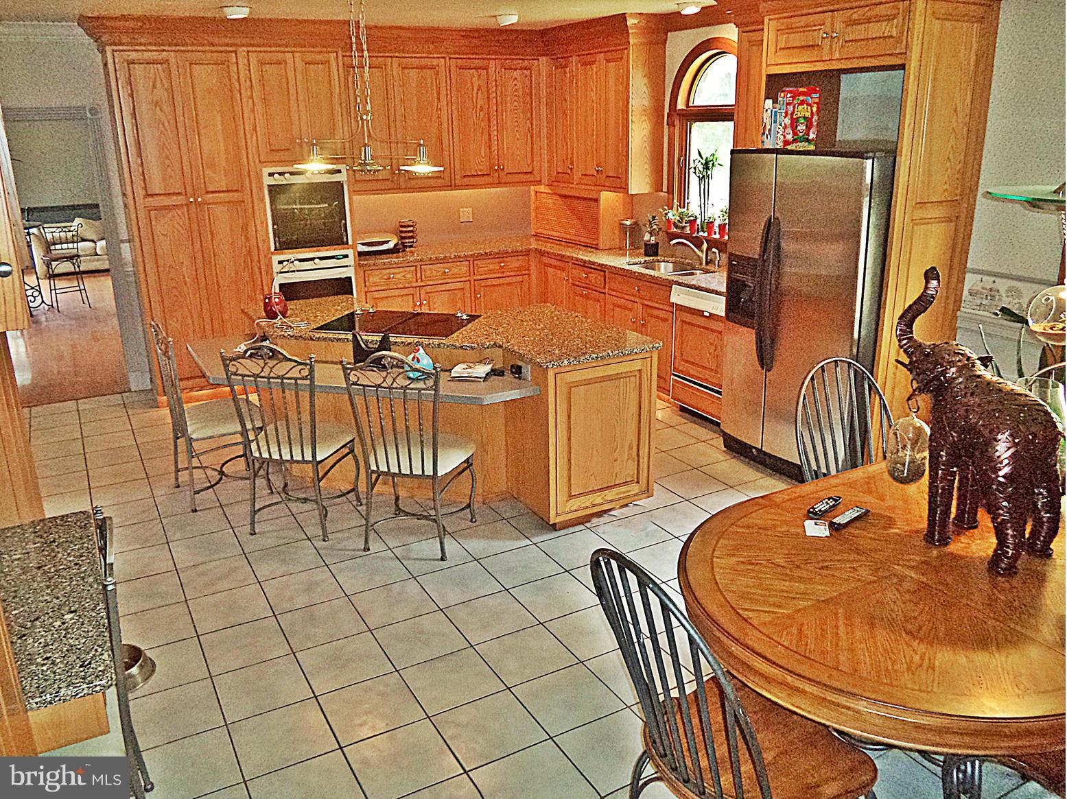 360 Jones Station Road Arnold, MD 21012 - Photo 6 of 30 GOURMET COOKING *QUARTZ *Specialty-Lighting*CUSTOM