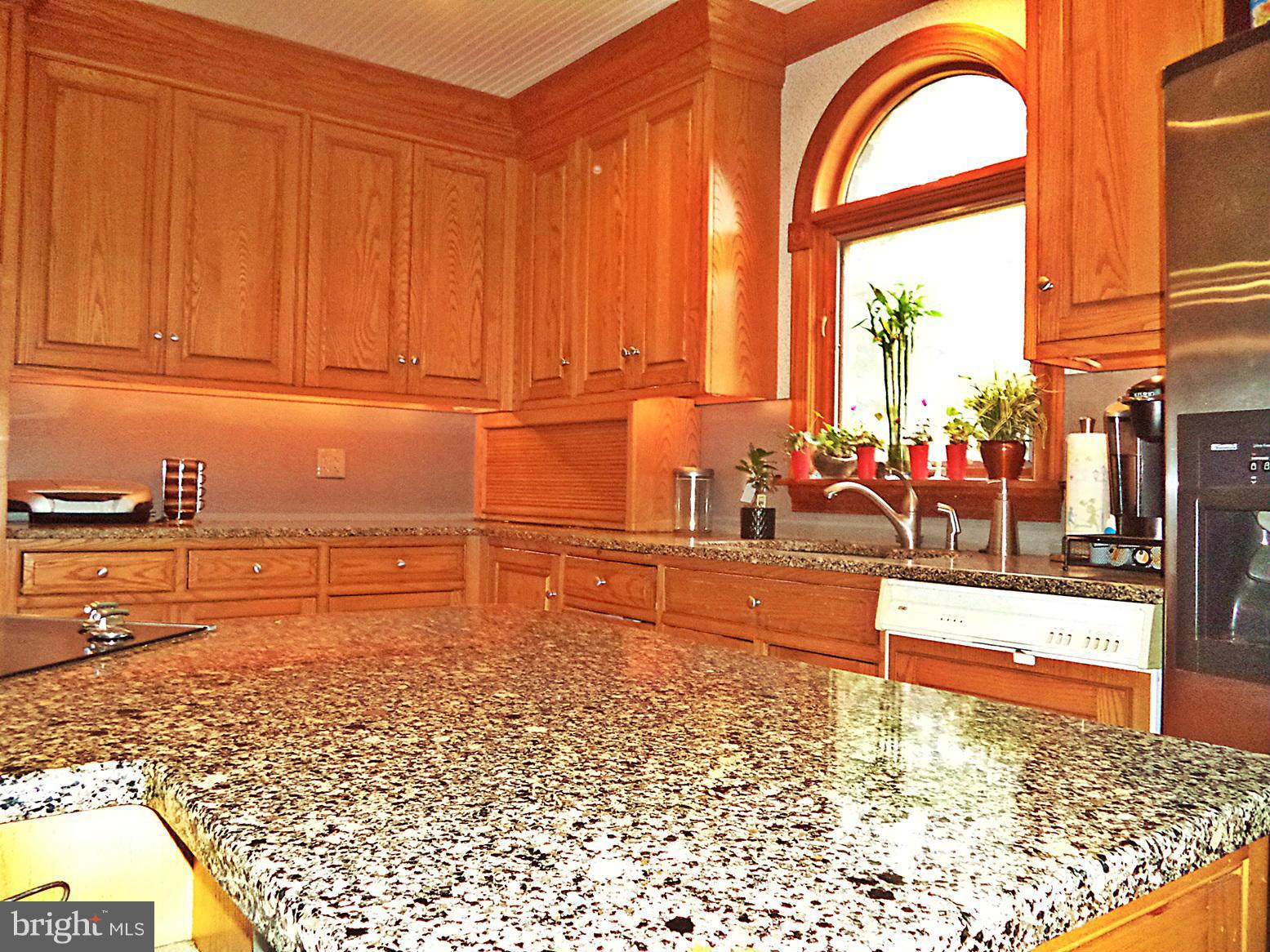 360 Jones Station Road Arnold, MD 21012 - Photo 9 of 30 GLORIOUS QUARTS Counters