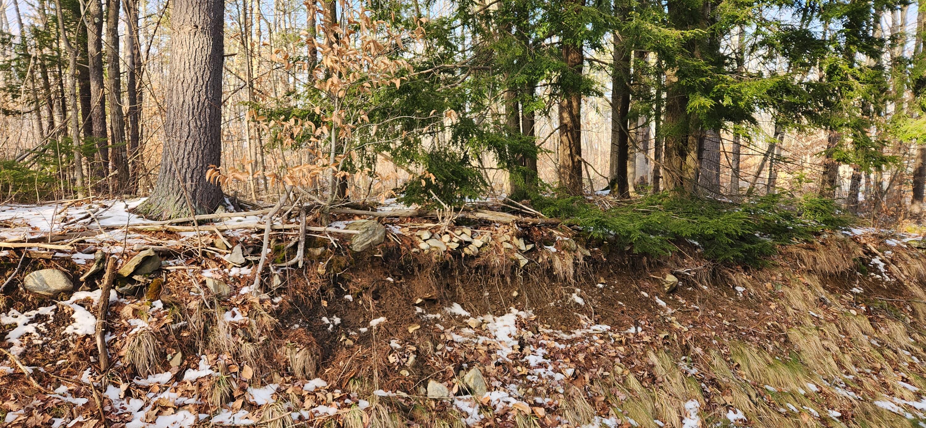 Lot #5 Blair Road Augusta, ME 04330 - Photo 2 of 3 Blair Rd 1
