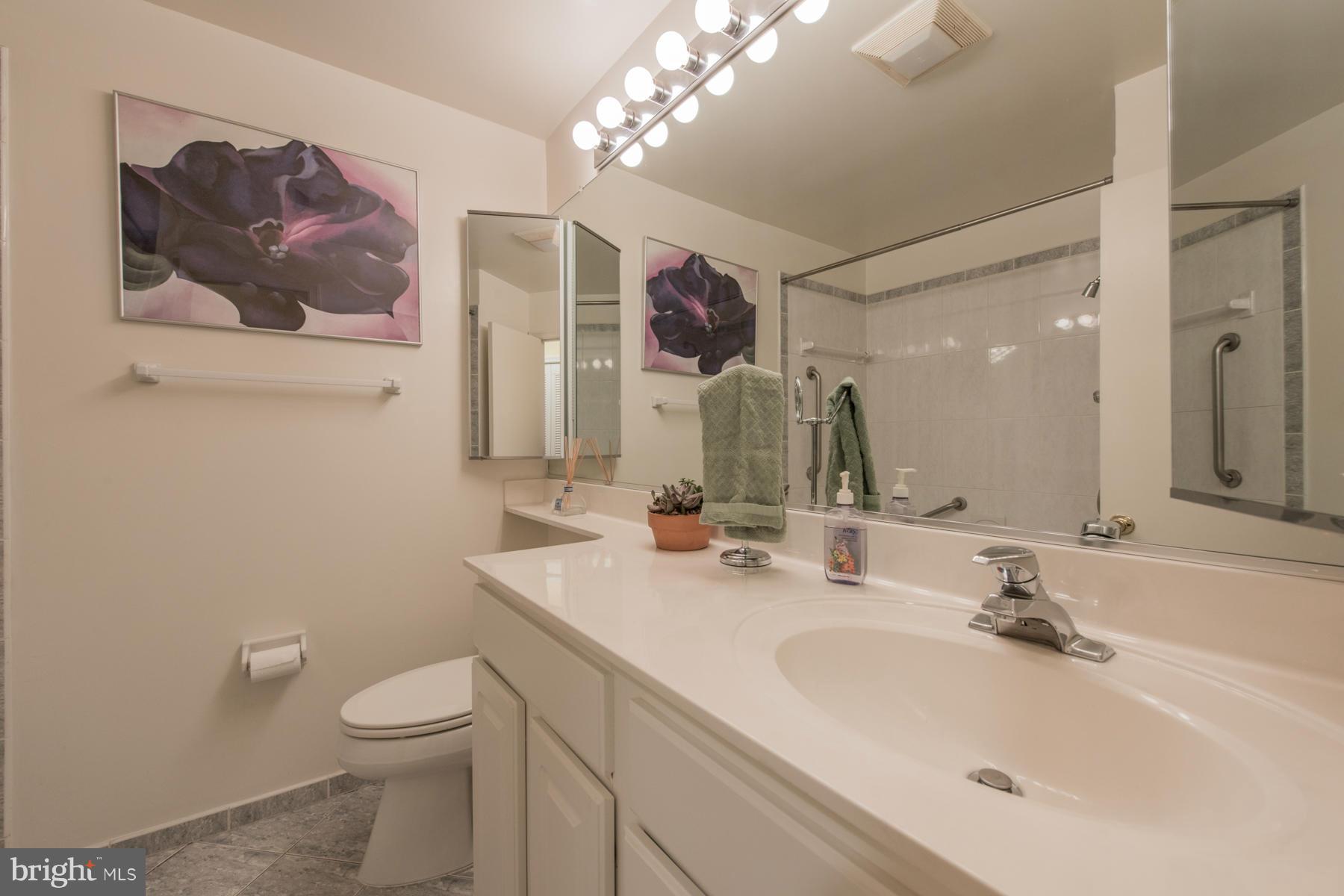 12810 Gaffney Road Silver Spring, MD 20904 - Photo 19 of 30 Bath (Master)