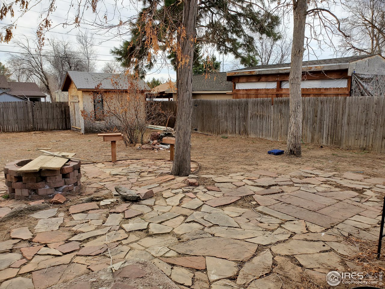 1026 23rd Street Road Greeley, CO 80631 - Photo 6 of 15 Large Back Yard w fire pit and outguilding