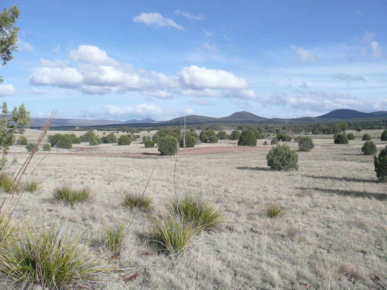 478 Rolling Hills Road Young, AZ 85554 - Photo 7 of 20