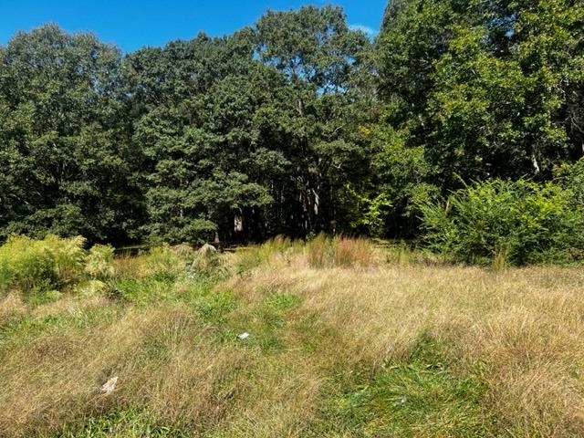 270 4th Street Boiling Springs, SC 29316 - Photo 2 of 7