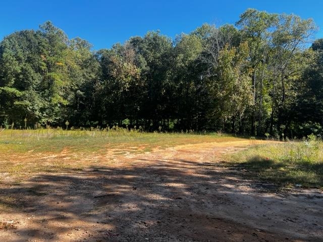 270 4th Street Boiling Springs, SC 29316 - Photo 4 of 7