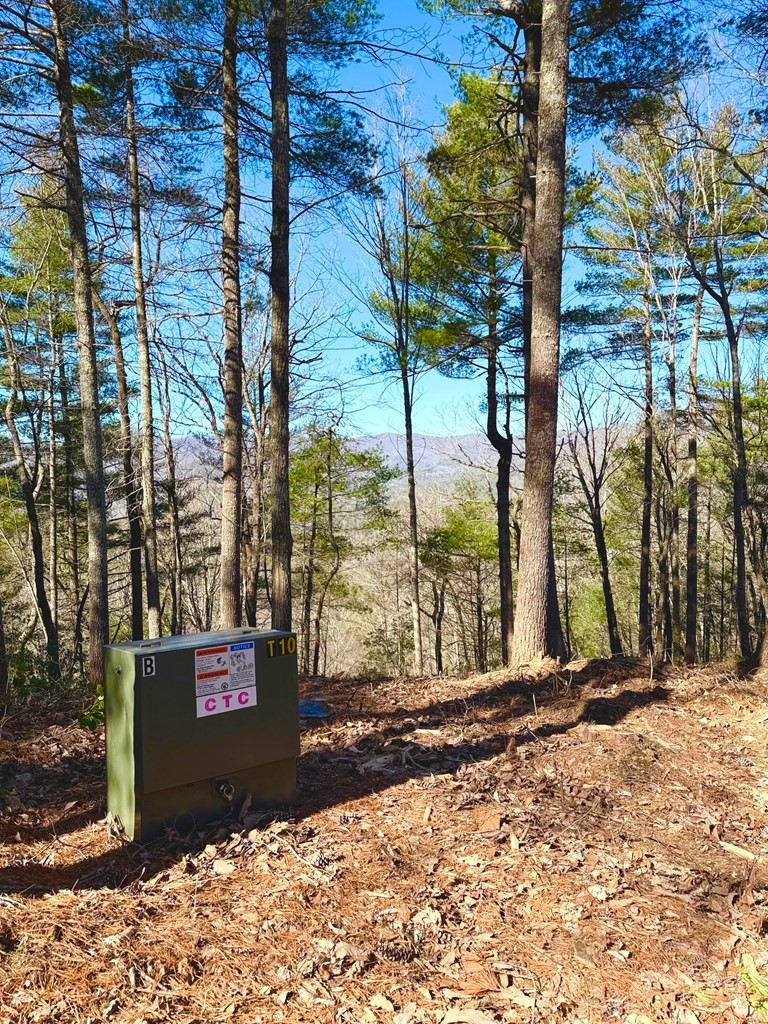 Lot 8 Top Horseshoe Ridge Murphy, NC 28906 - Photo 2 of 7 Gallery Image 2