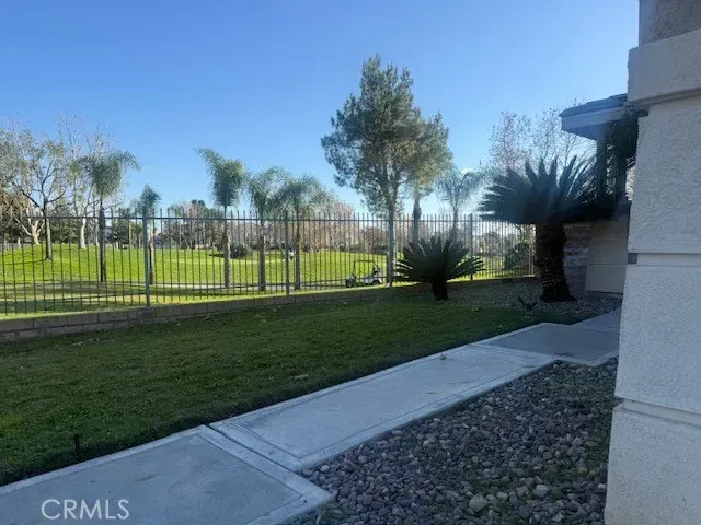 a view of a park with a large trees