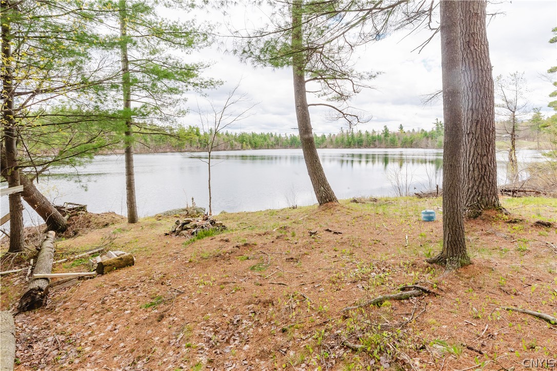 Lot 1 Bingo Road Edwards, NY 13635 - Photo 17 of 28