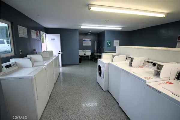 a view of backyard and tree