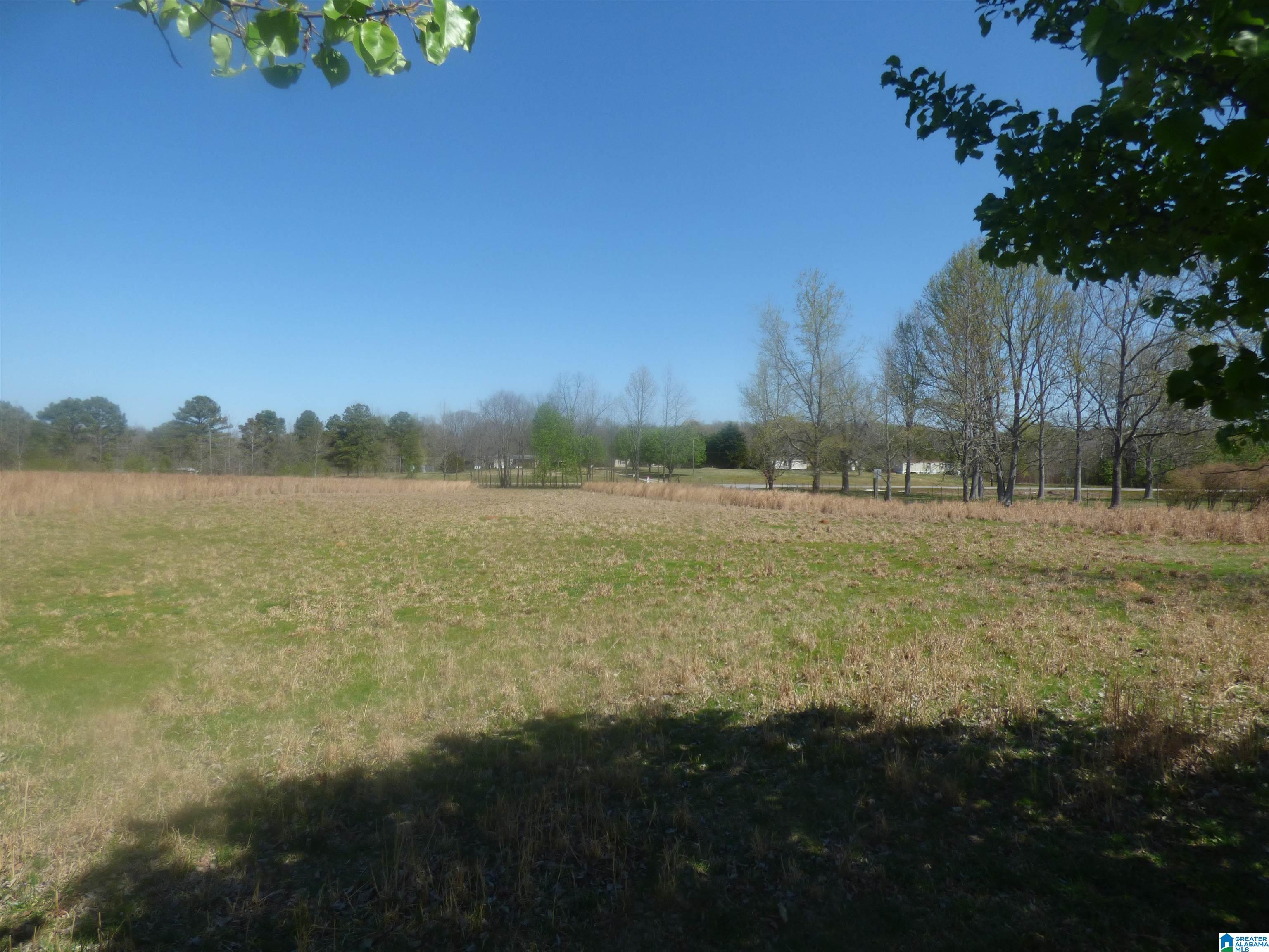 114 Haynes Road Altoona, AL 35952 - Photo 48 of 49