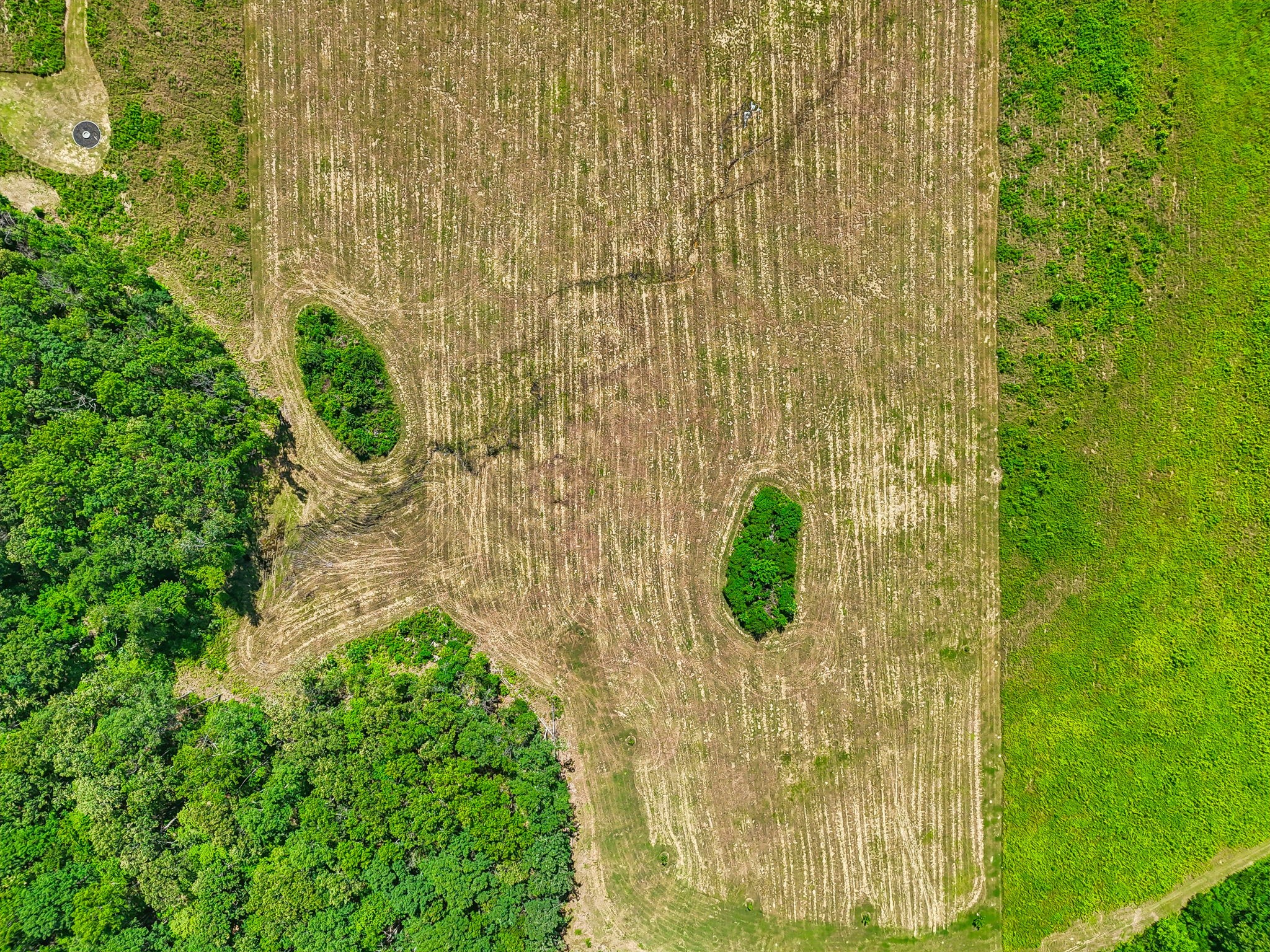 0 Espy Road Manchester, TN 37355 - Photo 25 of 37 a view of a garden