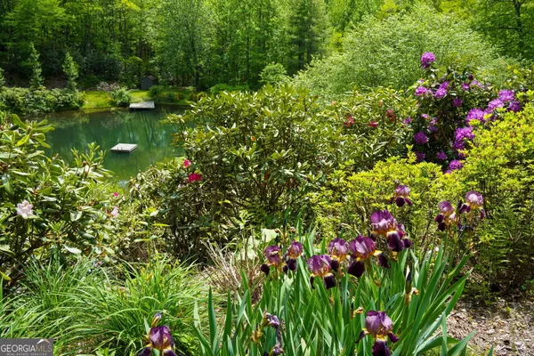 a view of a garden with a flower and trees
