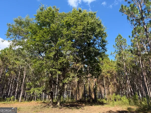 $36,000 | 4 Five Bridges Road, Blakely, GA 39823