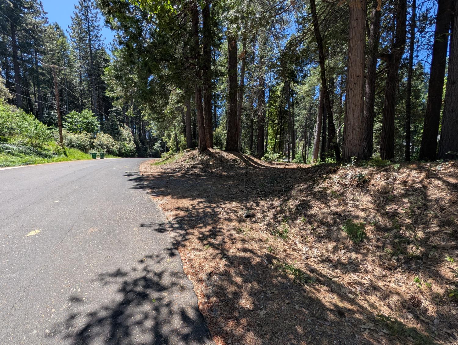 16819 Pasquale Road Nevada City, CA 95959 - Photo 3 of 10 a view of a tree with a yard