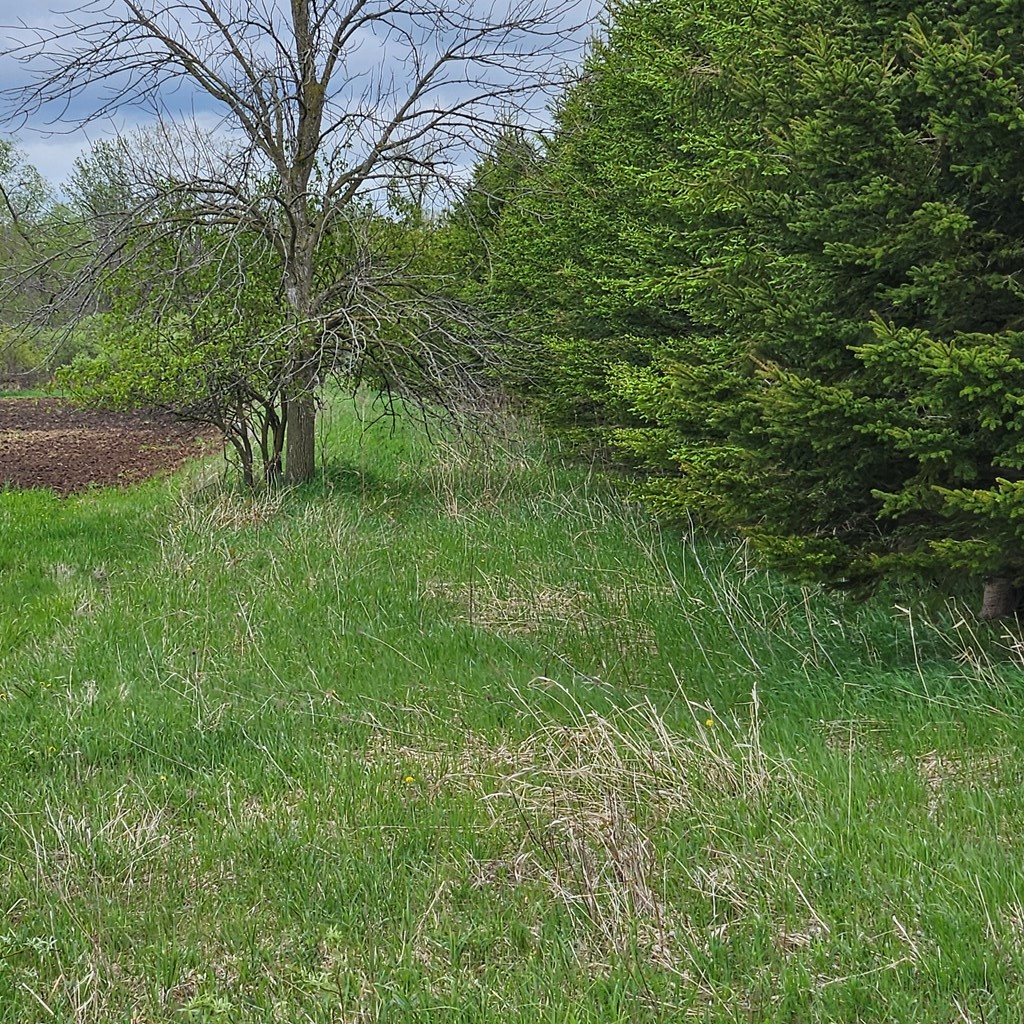 County Road Forestville, WI 54213 - Photo 4 of 5