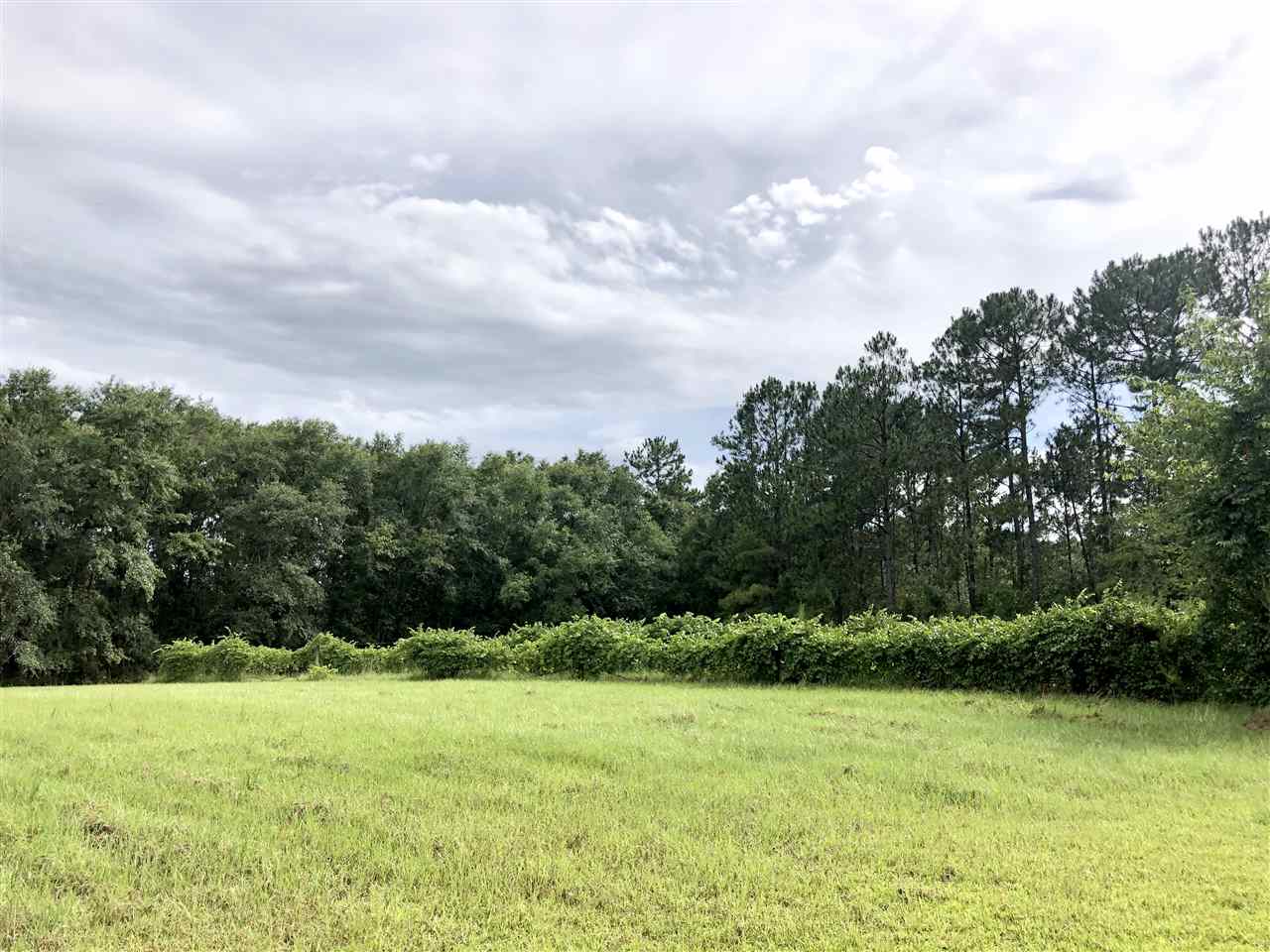 658 Northeast Bellville Road Pinetta, FL 32350 - Photo 17 of 31 Gallery Image 17