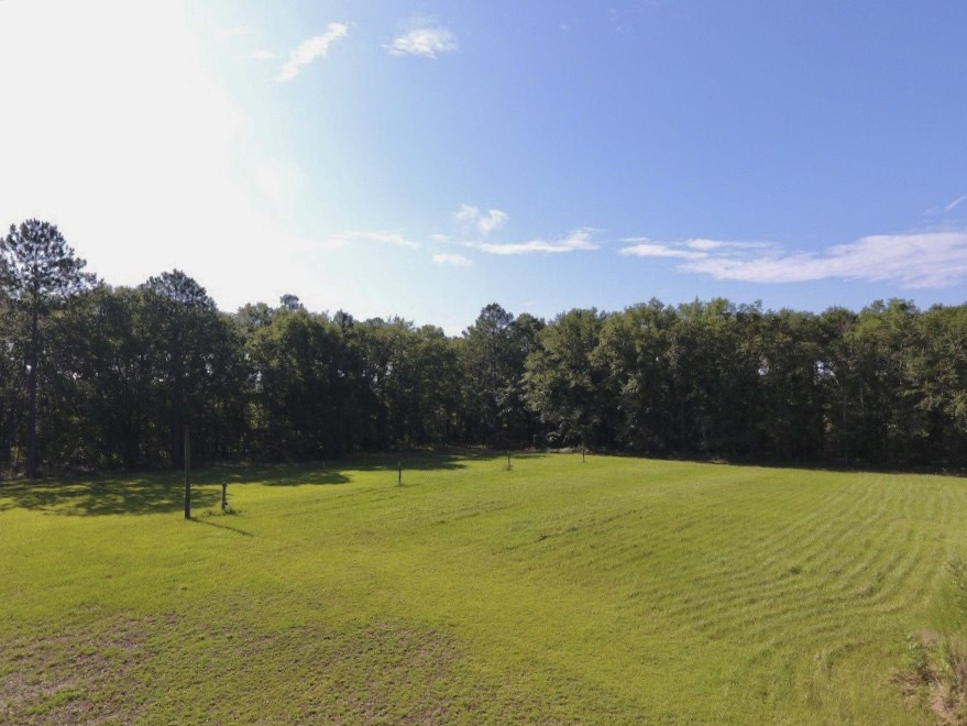 658 Northeast Bellville Road Pinetta, FL 32350 - Photo 23 of 31 Gallery Image 23