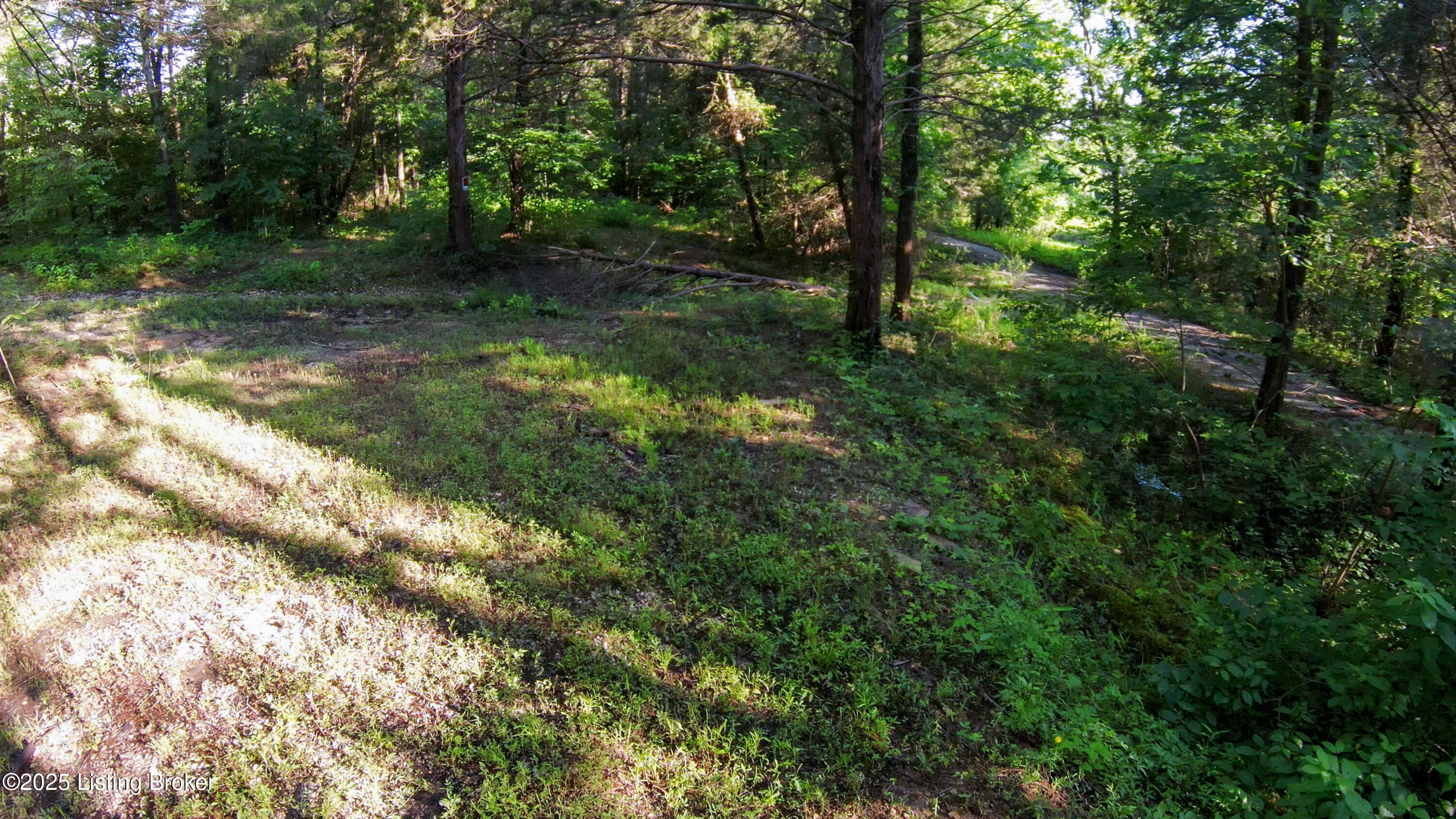 0 Grayson Springs Road Leitchfield, KY 42754 - Photo 17 of 35 27