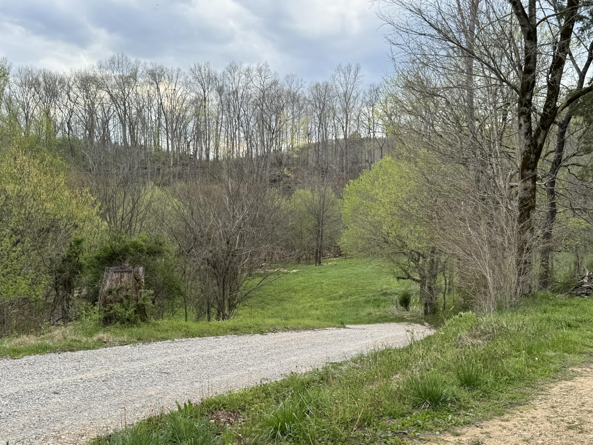 667 Troutstream Road Dunnville, KY 42528 - Photo 81 of 83 IMG_2334