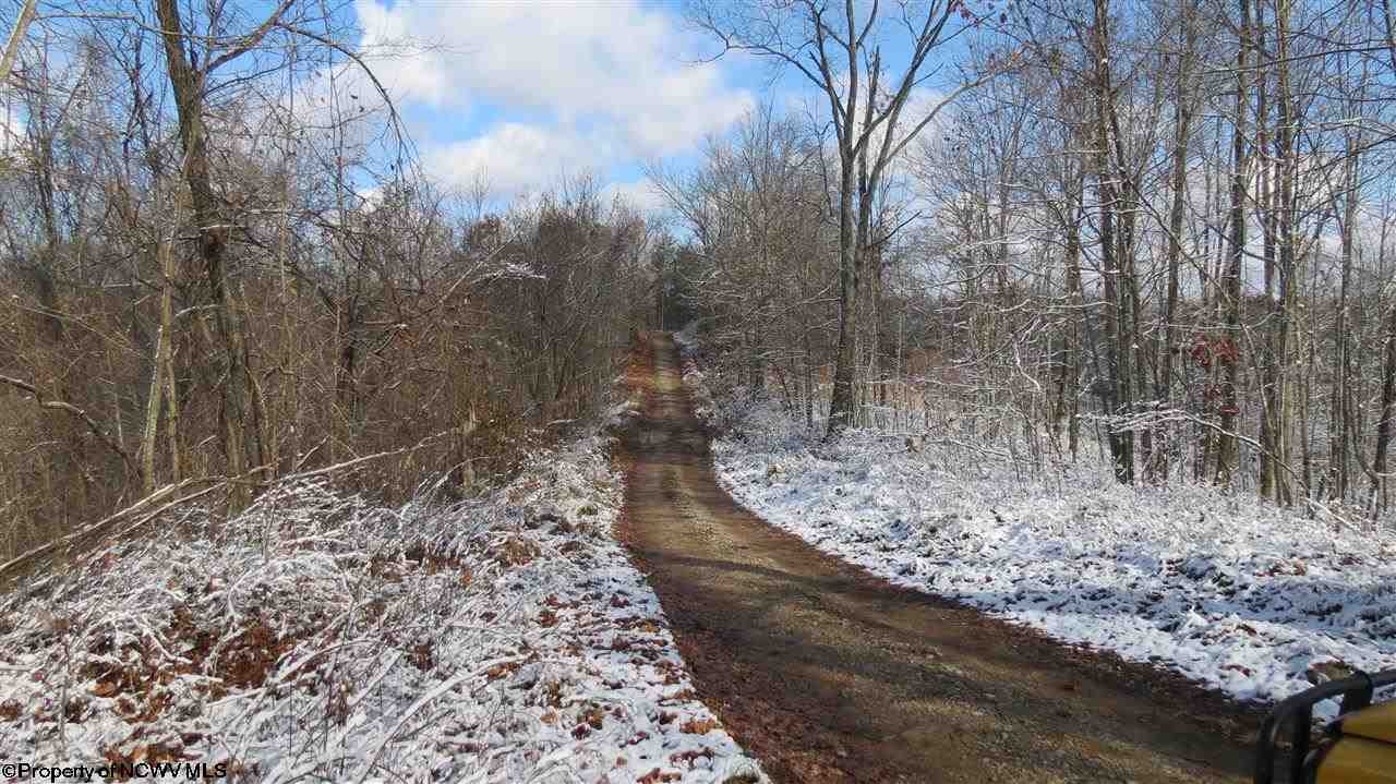 19-7 Paxton Ridge Walton, WV 25286 - Photo 4 of 16 Gallery Image 4