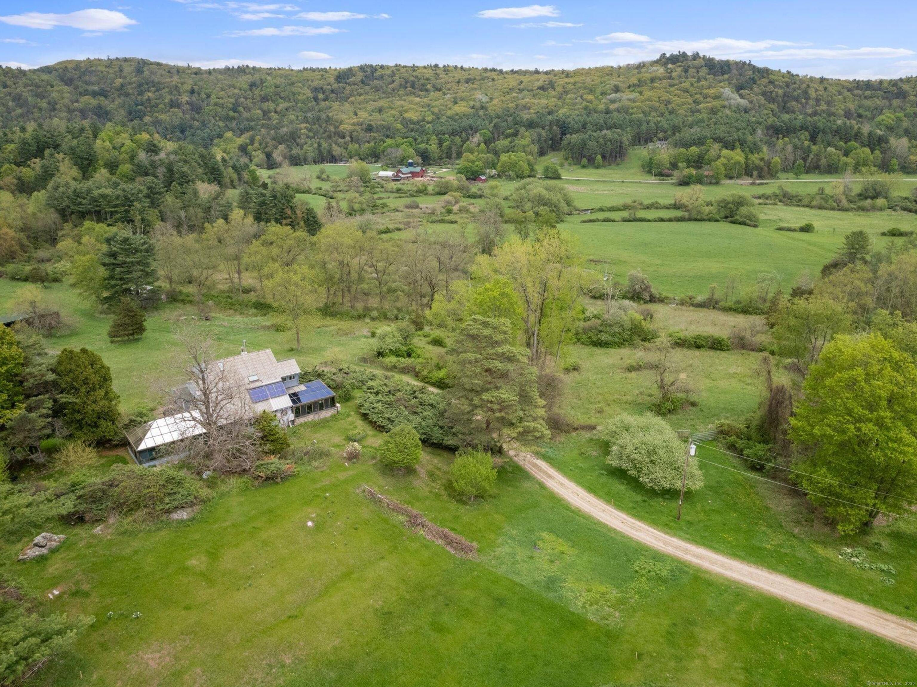 a view of a lush green forest with trees in the background
