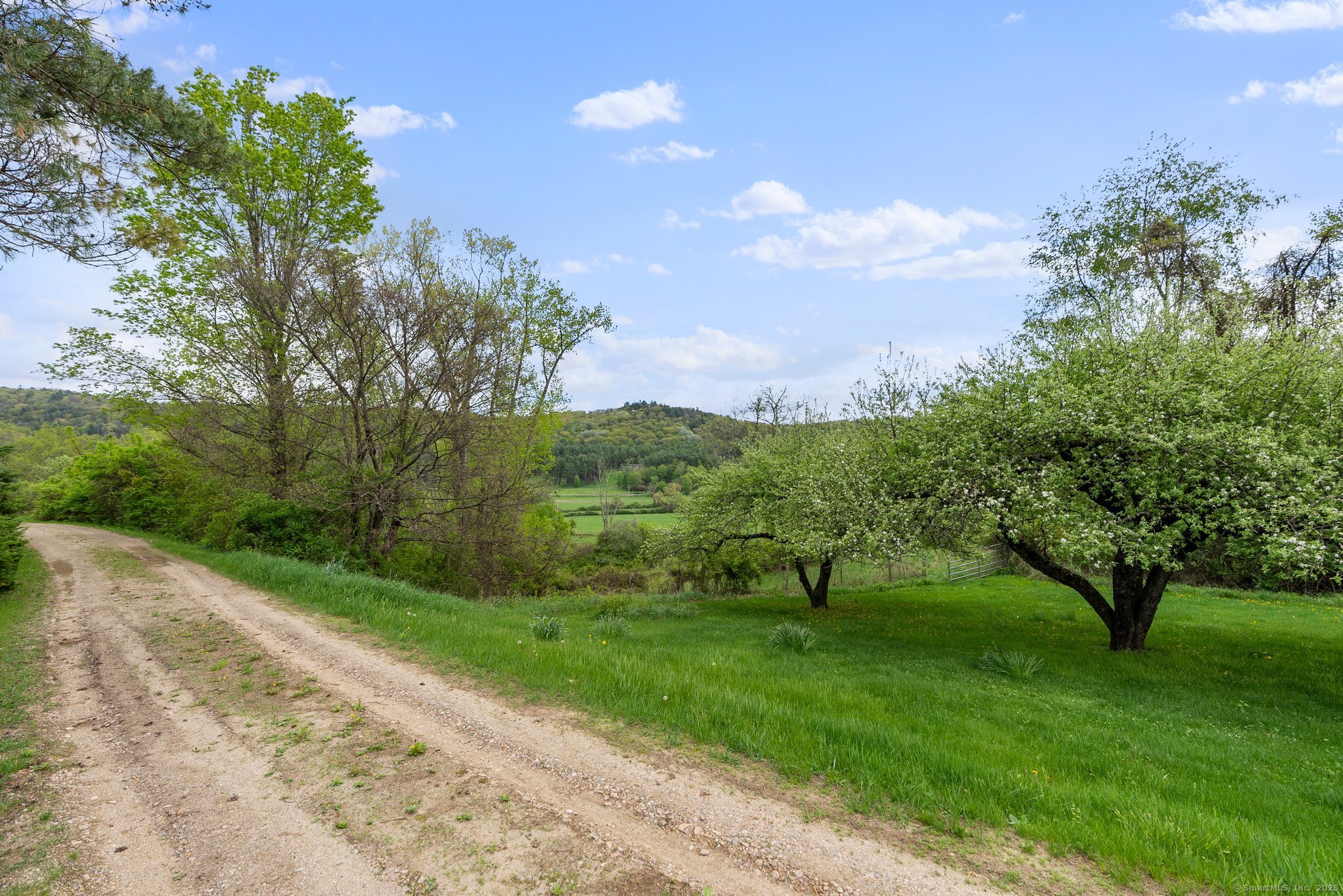 282 Farnum Road Salisbury, CT 06039 - Photo 16 of 22 a view of a park with large trees