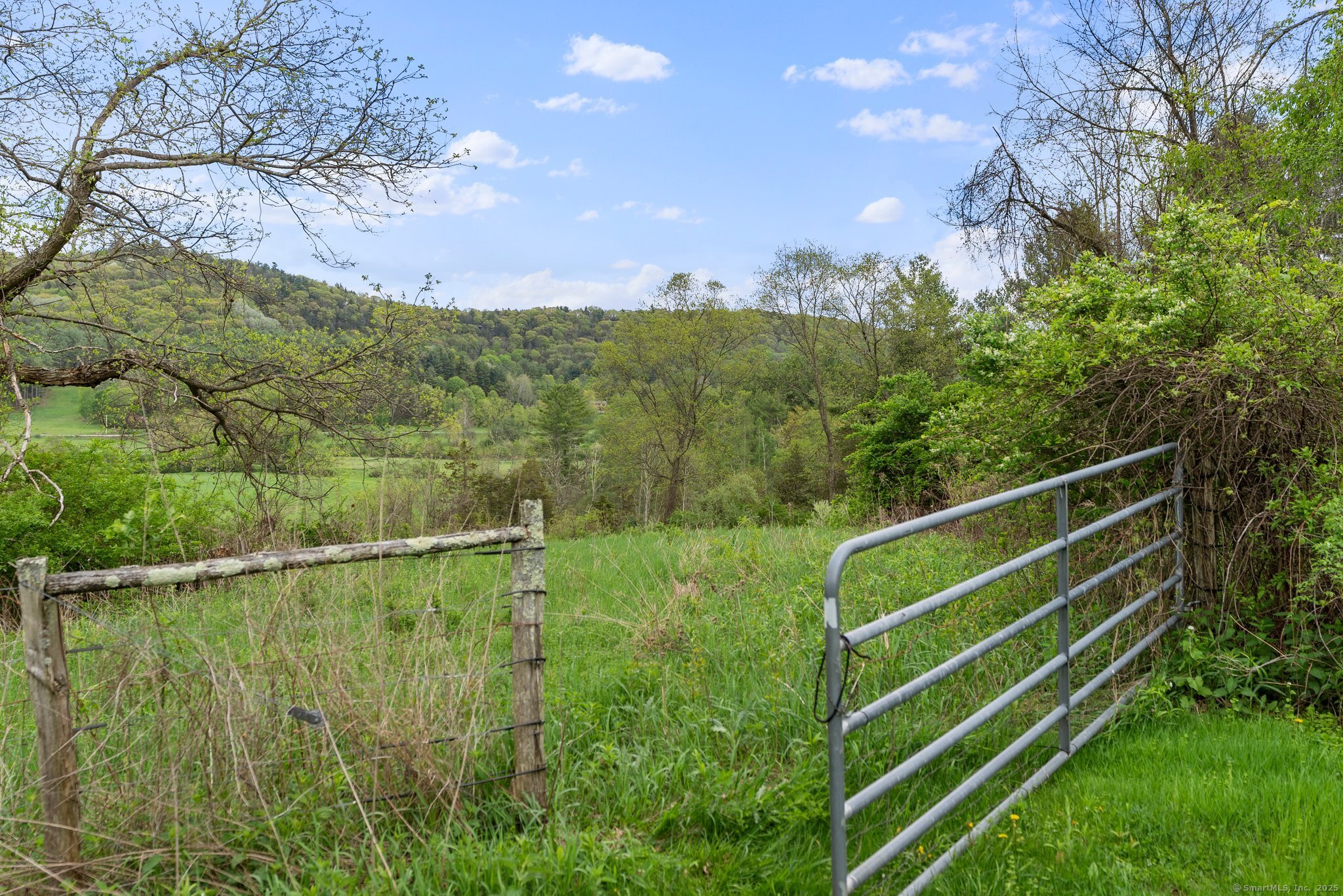 282 Farnum Road Salisbury, CT 06039 - Photo 17 of 22 a view of a yard with a lake