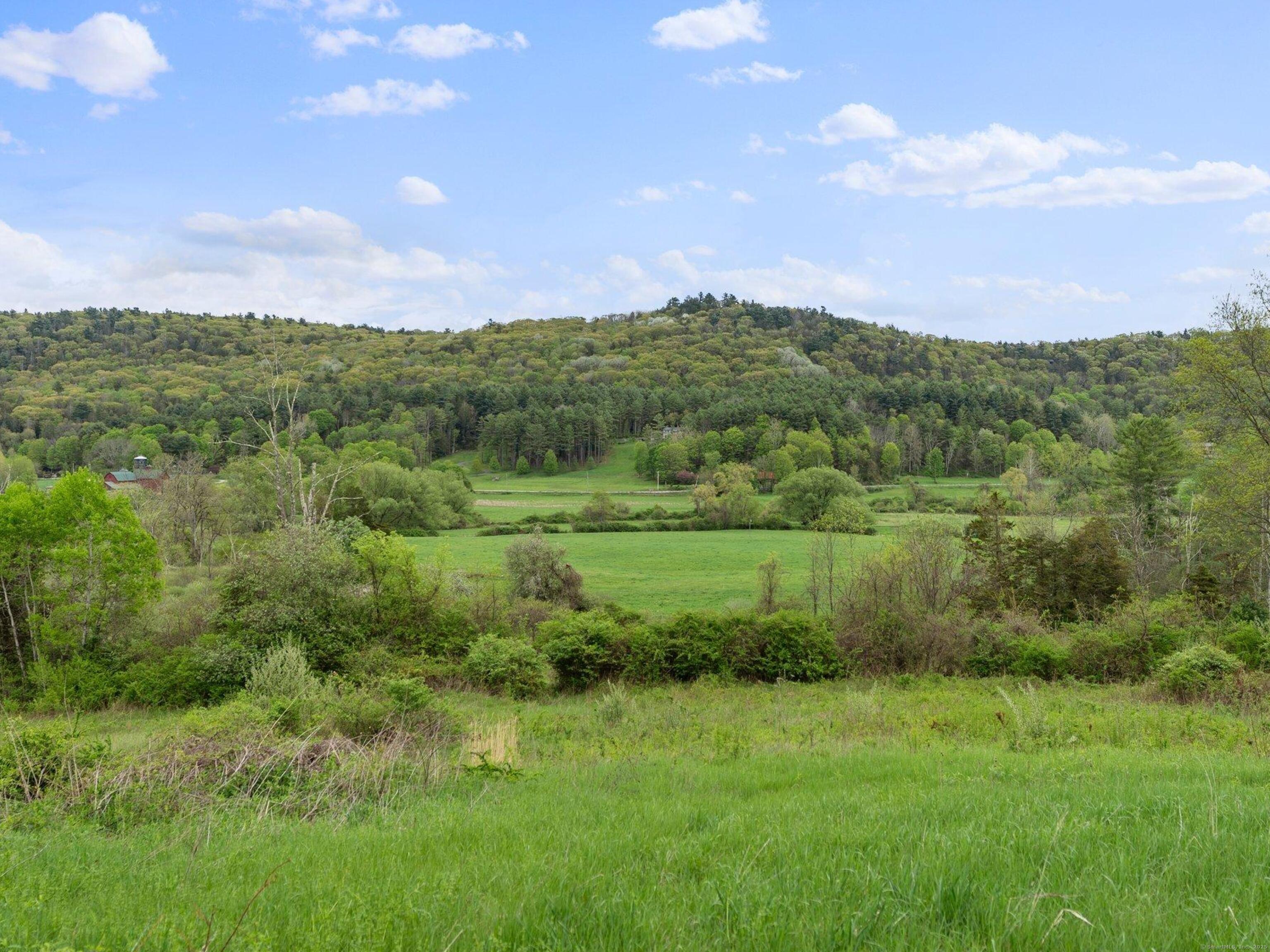 282 Farnum Road Salisbury, CT 06039 - Photo 19 of 22 a view of a lush green outdoor space with a swimming pool and valleys in the background