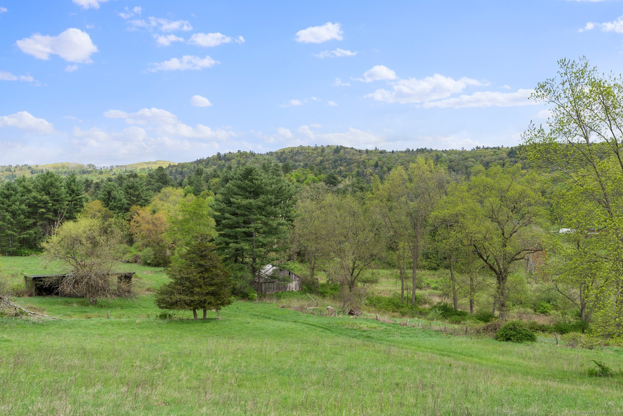 282 Farnum Road Salisbury, CT 06039 - Photo 20 of 22 a view of a lush green outdoor space with a lake view