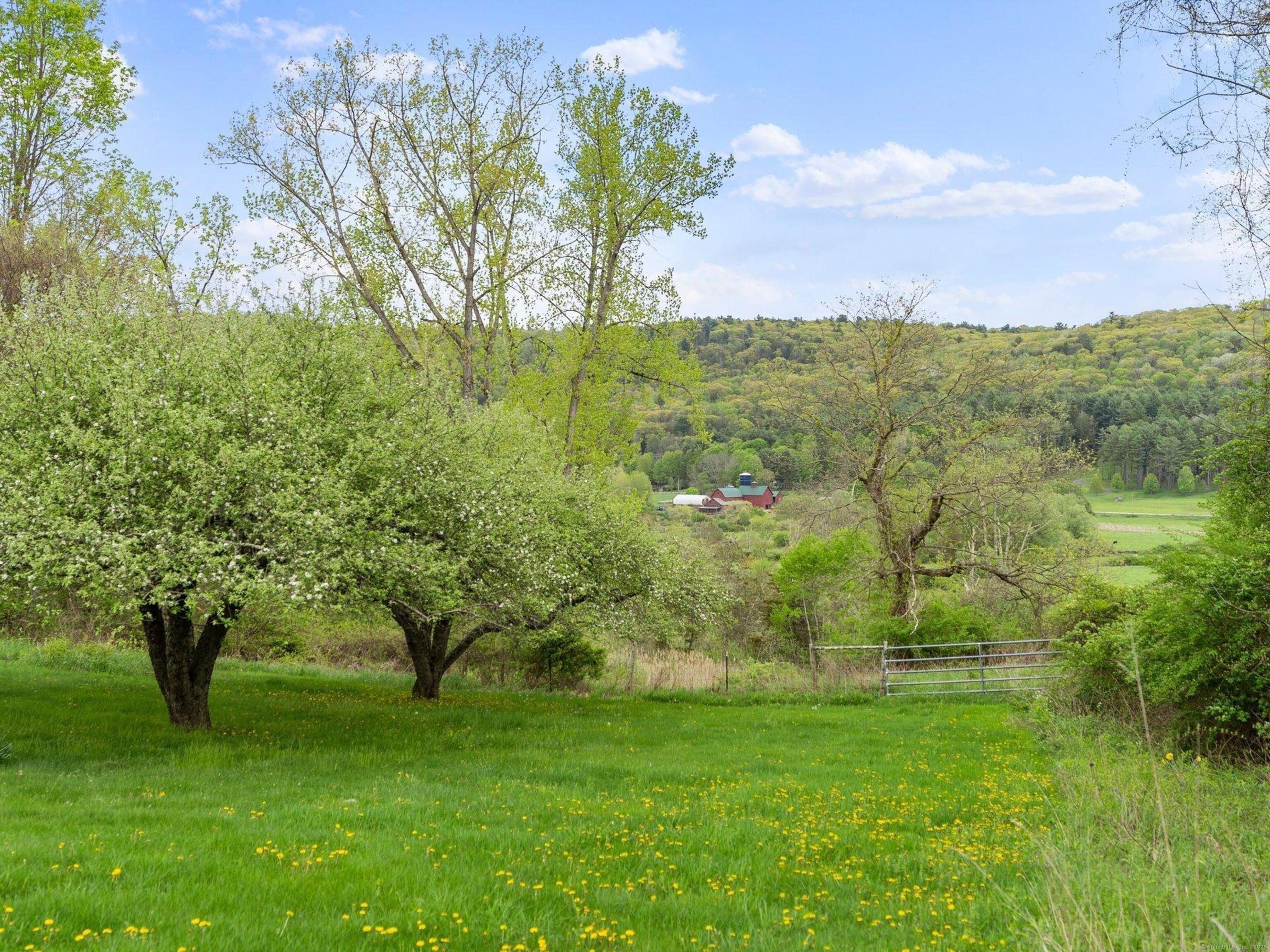 282 Farnum Road Salisbury, CT 06039 - Photo 21 of 22 a view of a trees with a yard