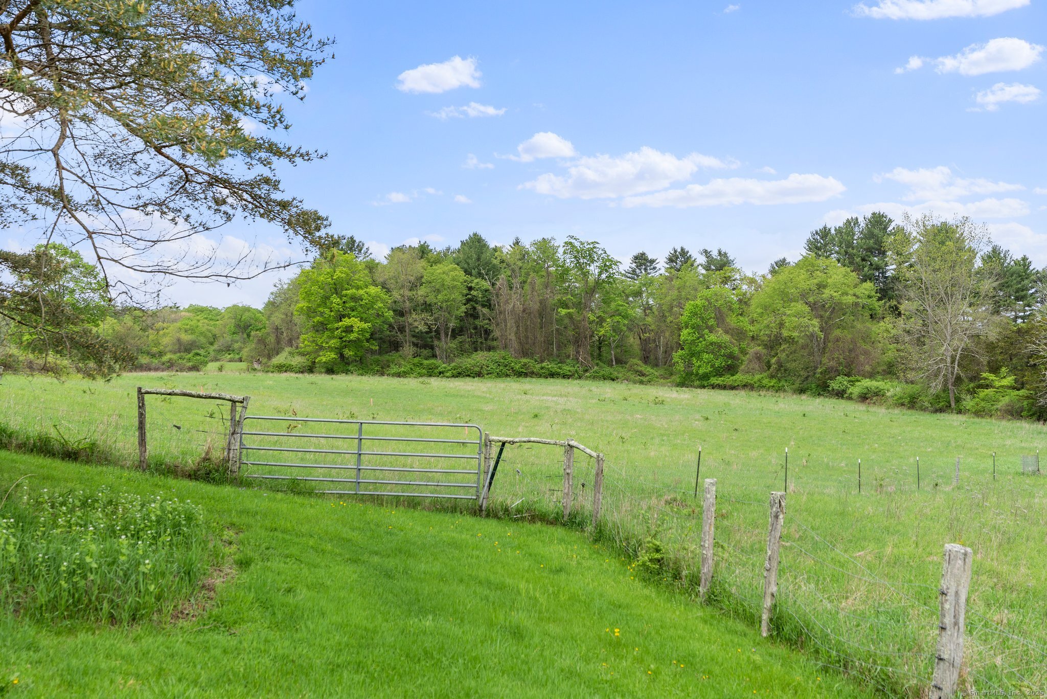 282 Farnum Road Salisbury, CT 06039 - Photo 22 of 22 a view of an outdoor space and a yard