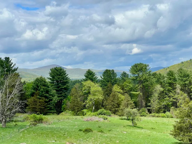 a view of a garden with a bench