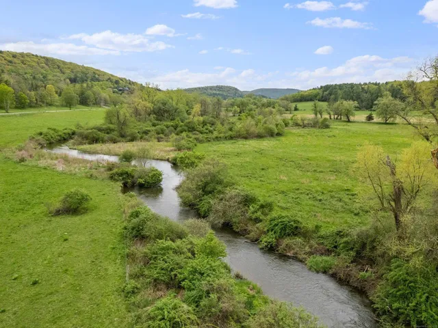 a view of a green field with lots of trees in it