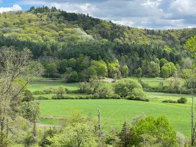 a view of a garden with a building