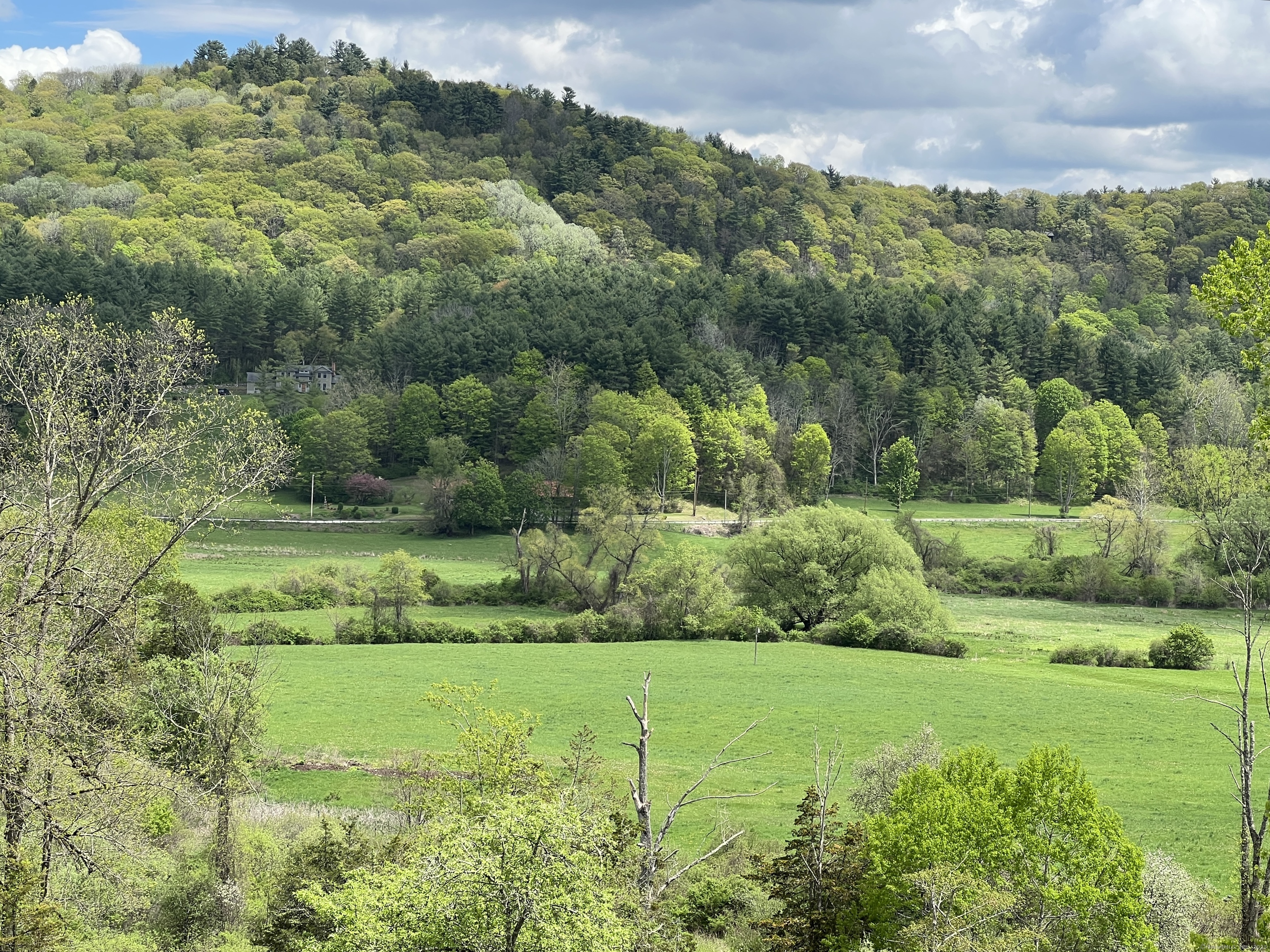 282 Farnum Road Salisbury, CT 06039 - Photo 7 of 22 a view of a garden with a building
