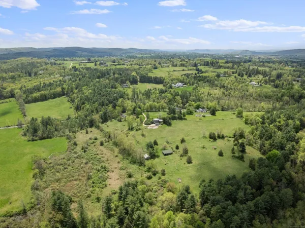 a view of a city with lush green forest
