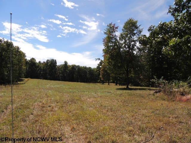 463-489 Slab Cp Road Independence, WV 26374 - Photo 43 of 49 Gallery Image 43