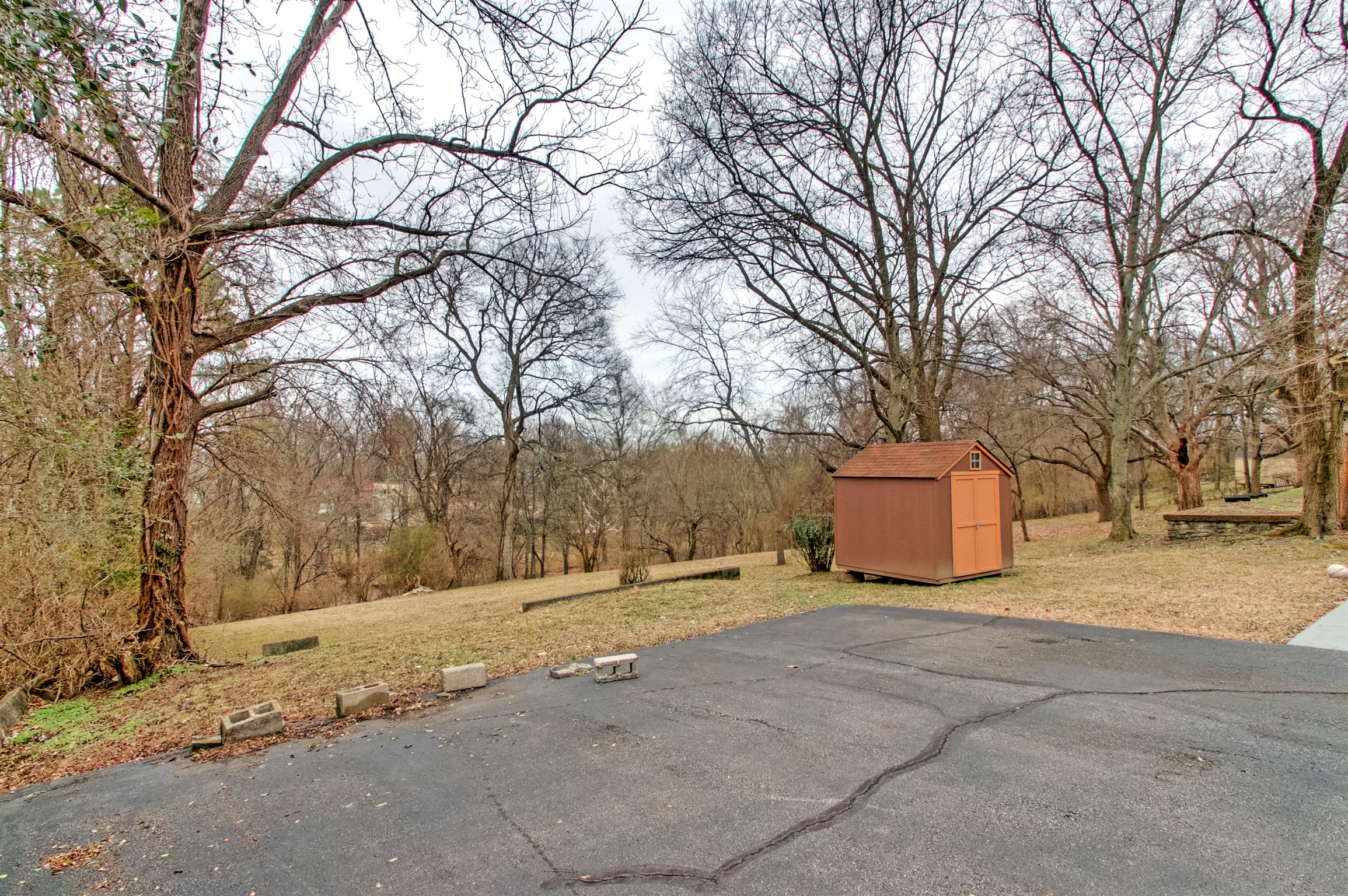 917 Mitchell Road Nashville, TN 37206 - Photo 4 of 19 a backyard of a house with large trees