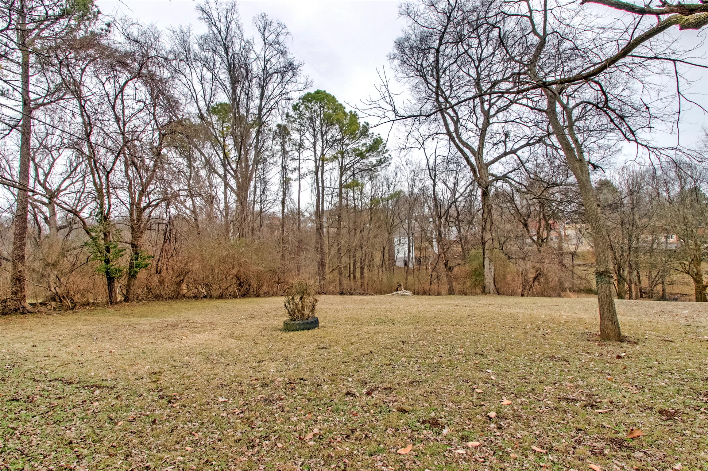 917 Mitchell Road Nashville, TN 37206 - Photo 5 of 19 a view of tree with a house in the background