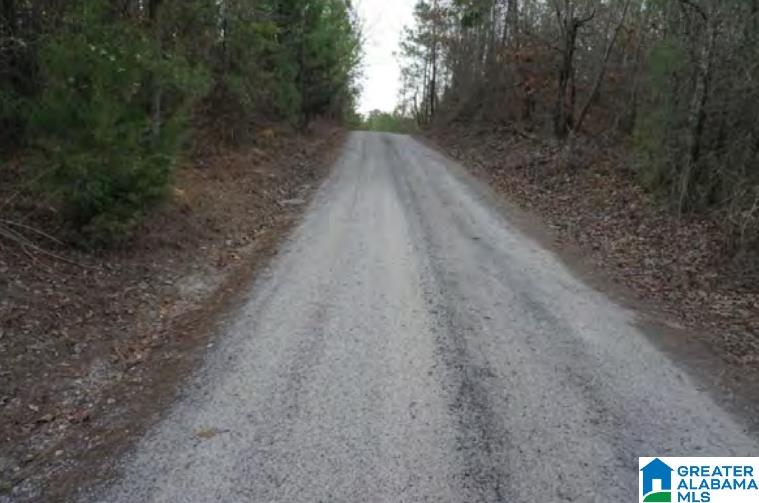 0 Highway 5, Unit 19 ACRES Centreville, AL 35042 - Photo 3 of 9