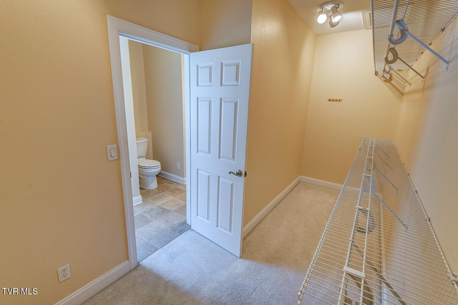 1331 Bright Hope Road Greeneville, TN 37743 - Photo 41 of 100 D-Neas-Bright-Hope-Rd-Shoot-5_7311