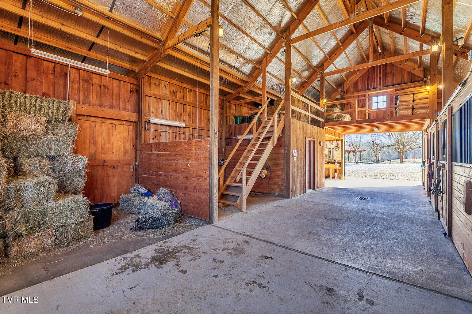 1331 Bright Hope Road Greeneville, TN 37743 - Photo 65 of 100 D_Neas_Exterior_1331-Bright-Hope-Road_22