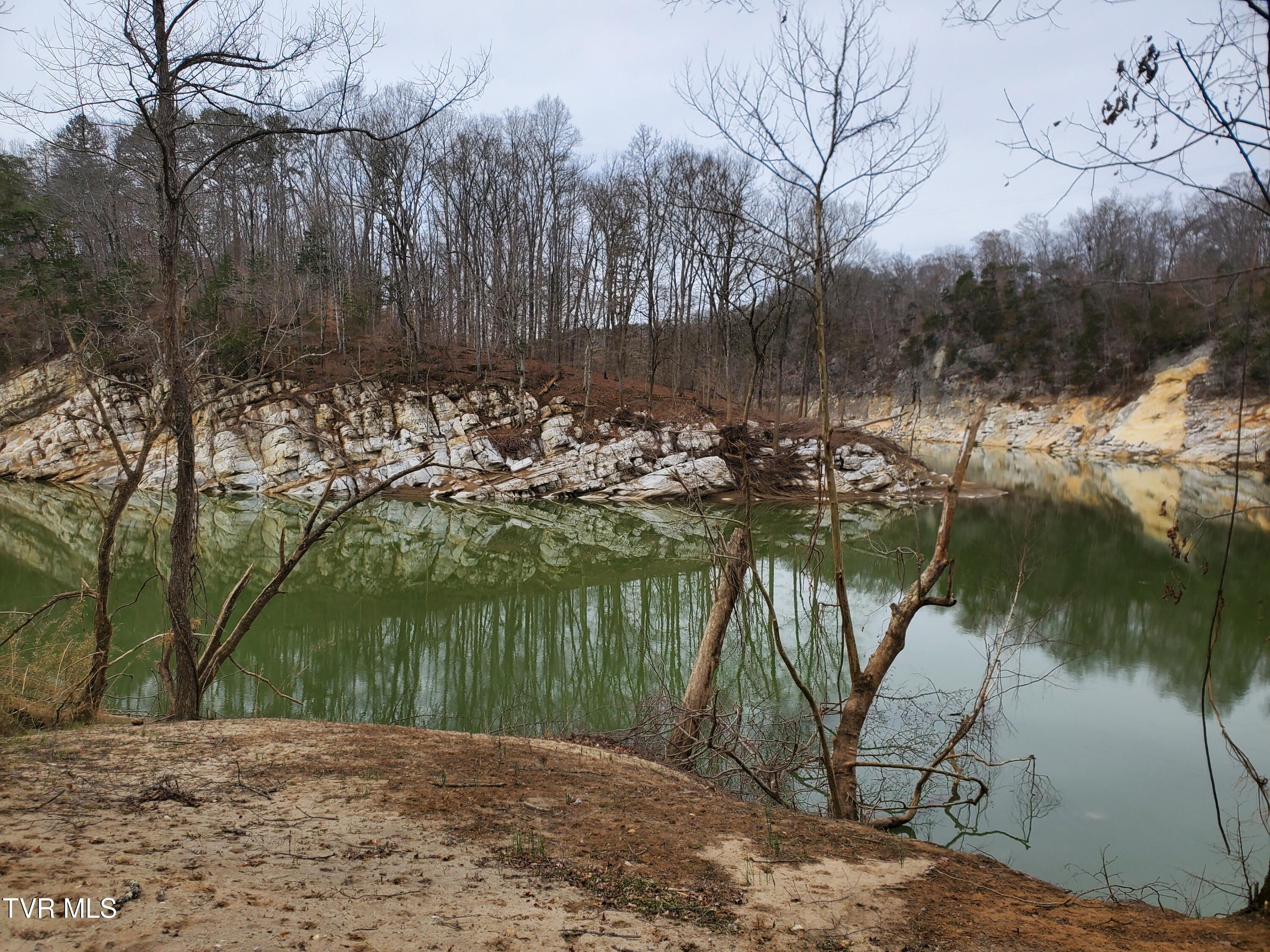 1331 Bright Hope Road Greeneville, TN 37743 - Photo 82 of 100 20250310_115652