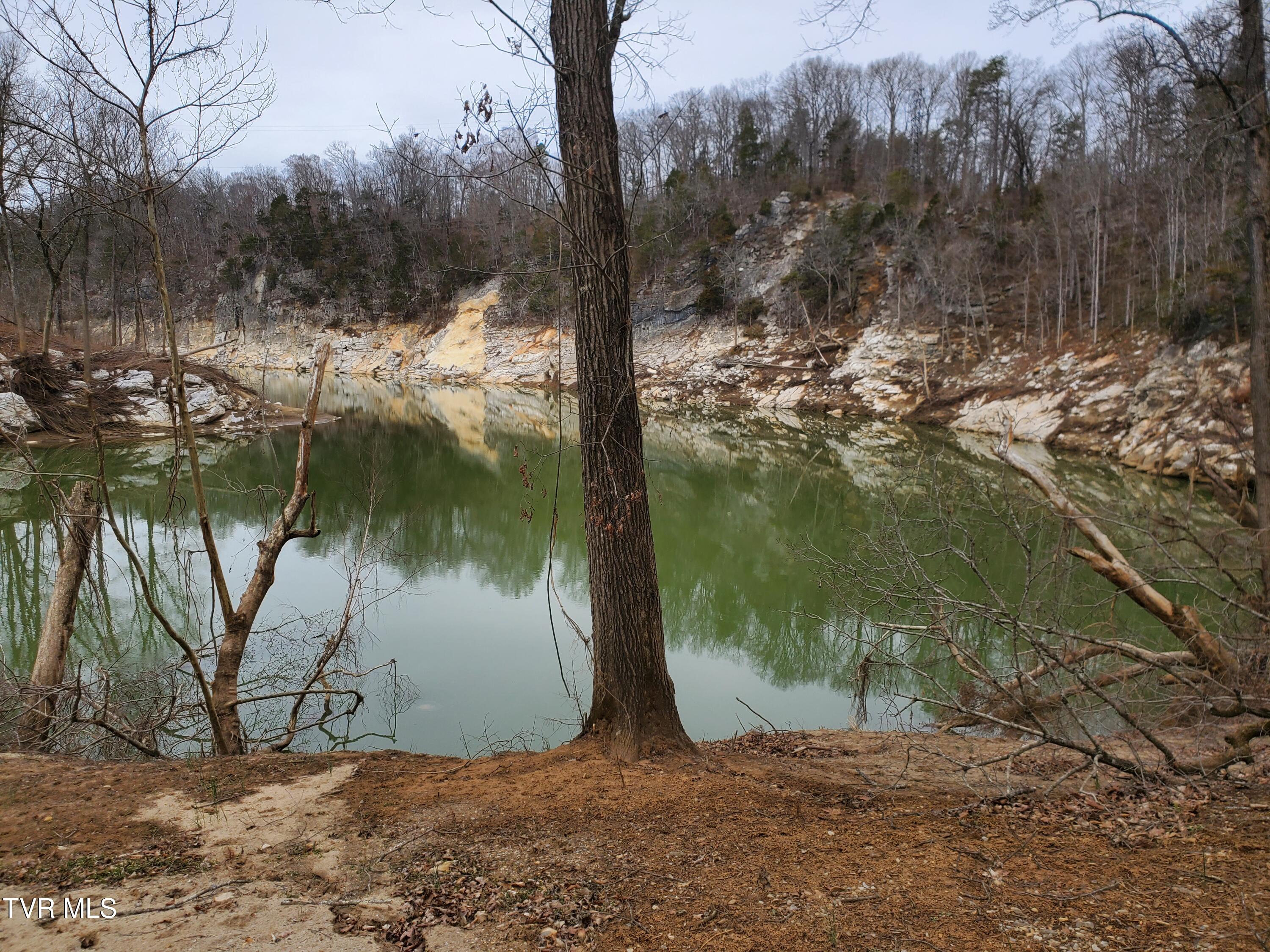 1331 Bright Hope Road Greeneville, TN 37743 - Photo 83 of 100 20250310_115634