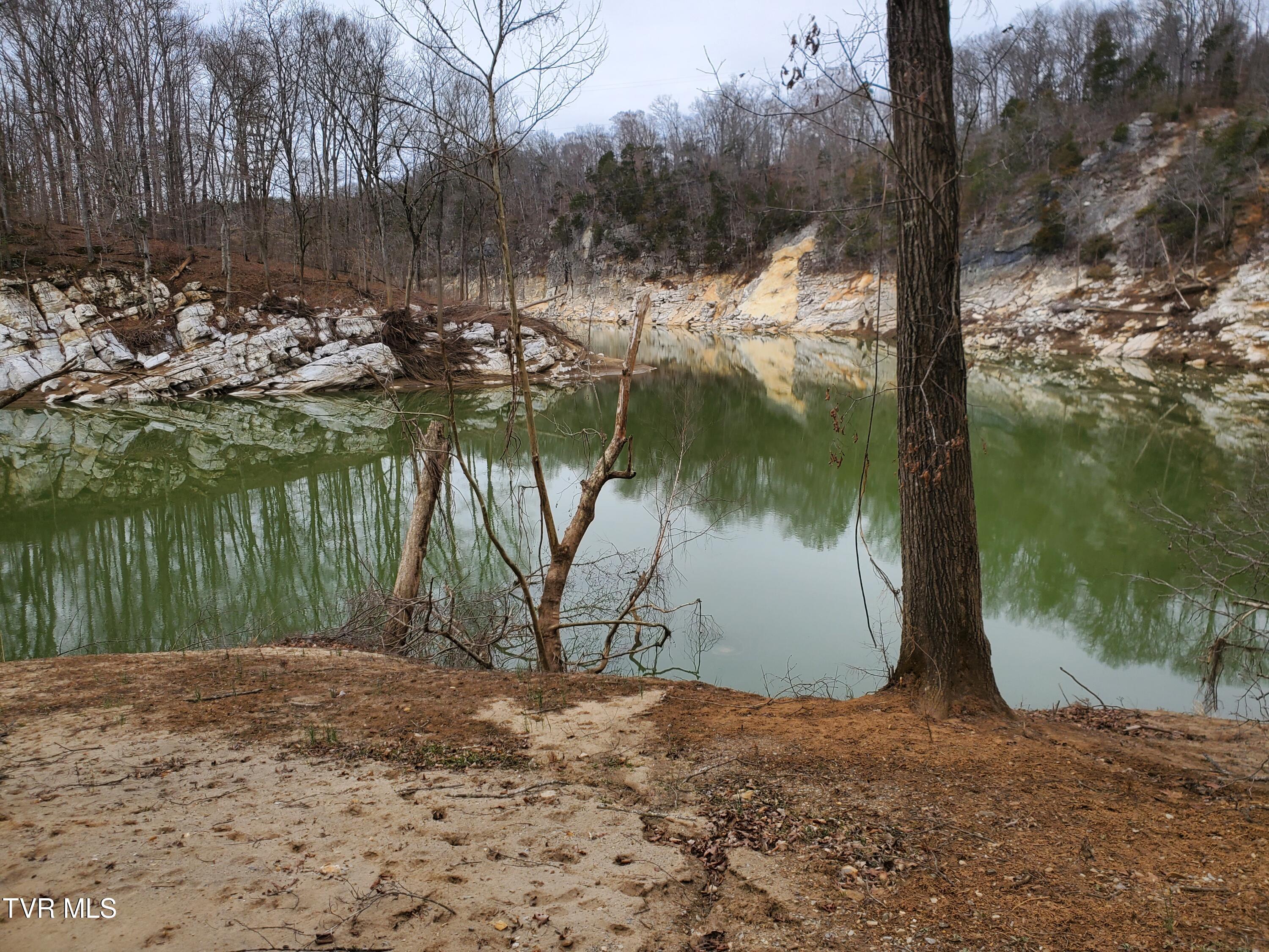 1331 Bright Hope Road Greeneville, TN 37743 - Photo 84 of 100 20250310_115625