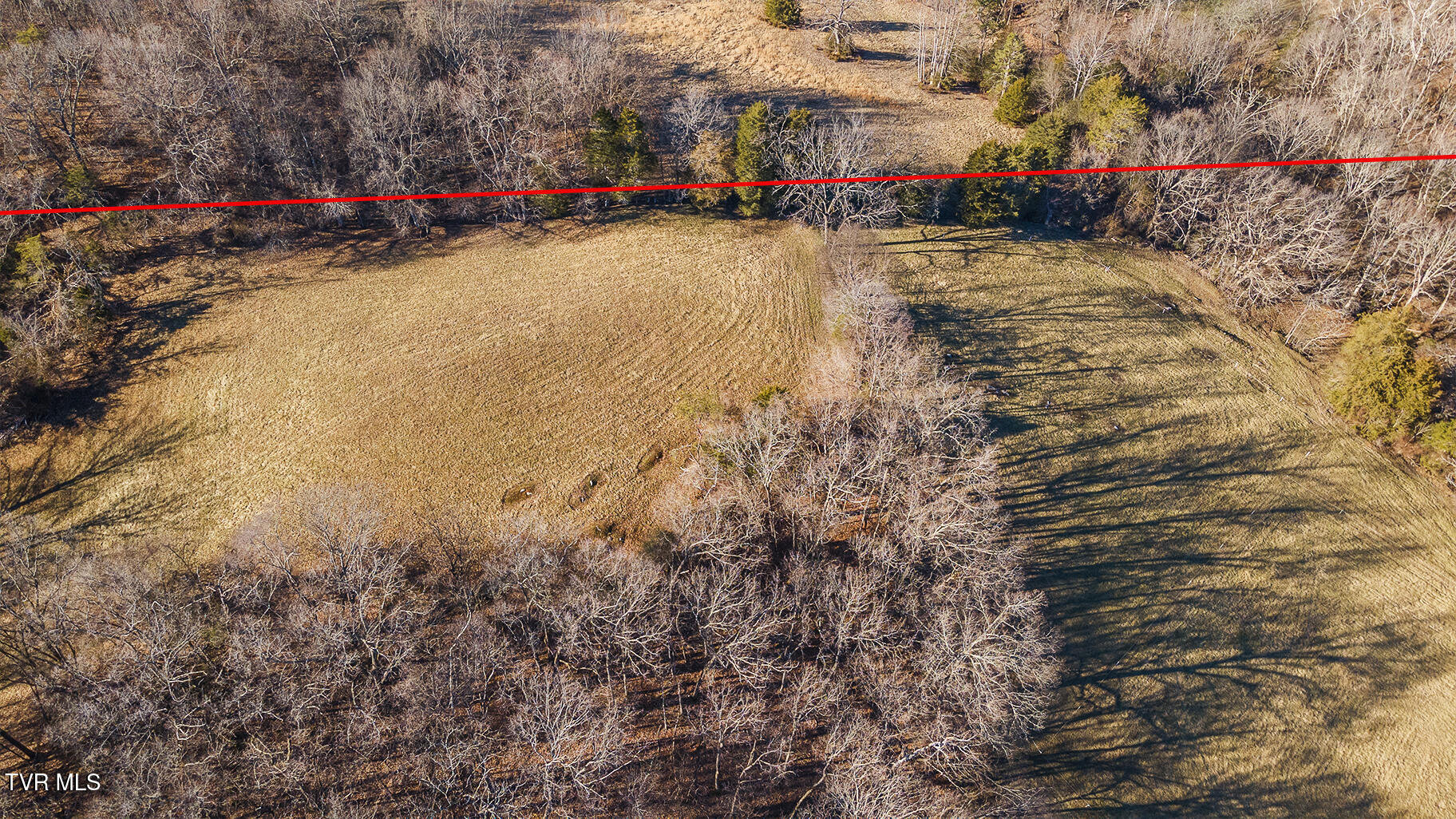 1331 Bright Hope Road Greeneville, TN 37743 - Photo 88 of 100 D_Neas_Aerial_1331-Bright-Hope-Road_0726