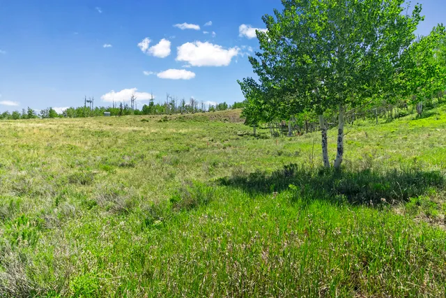 a view of a big yard