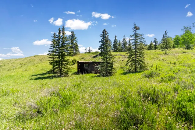 a view of a big yard with large trees